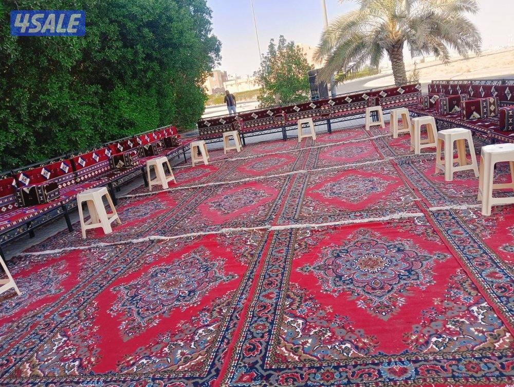 تاجير كراسي وطاولات وزينة كنبات1