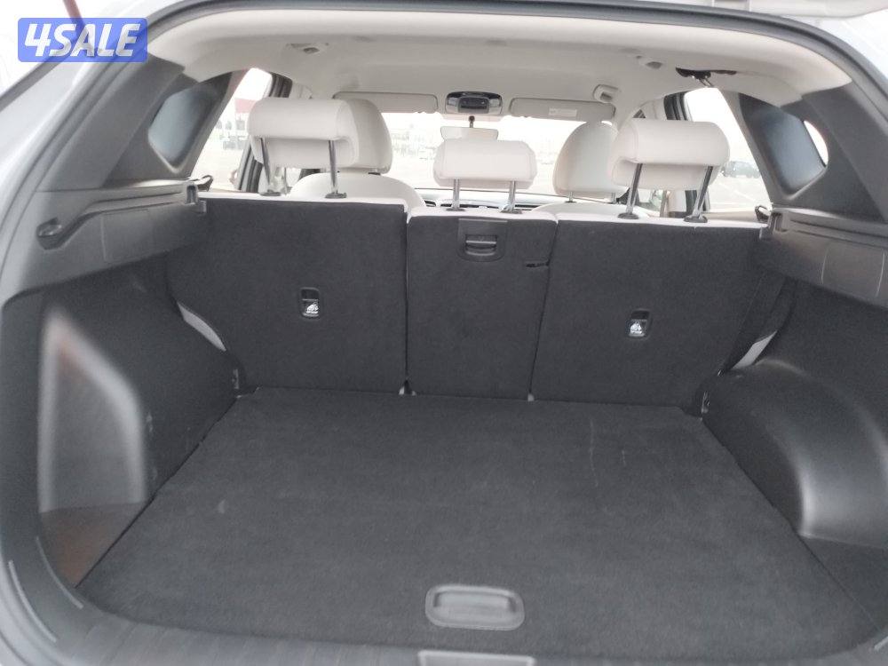 📌 صبغ الوكالة وتحت الكفالة 2023 توسان12