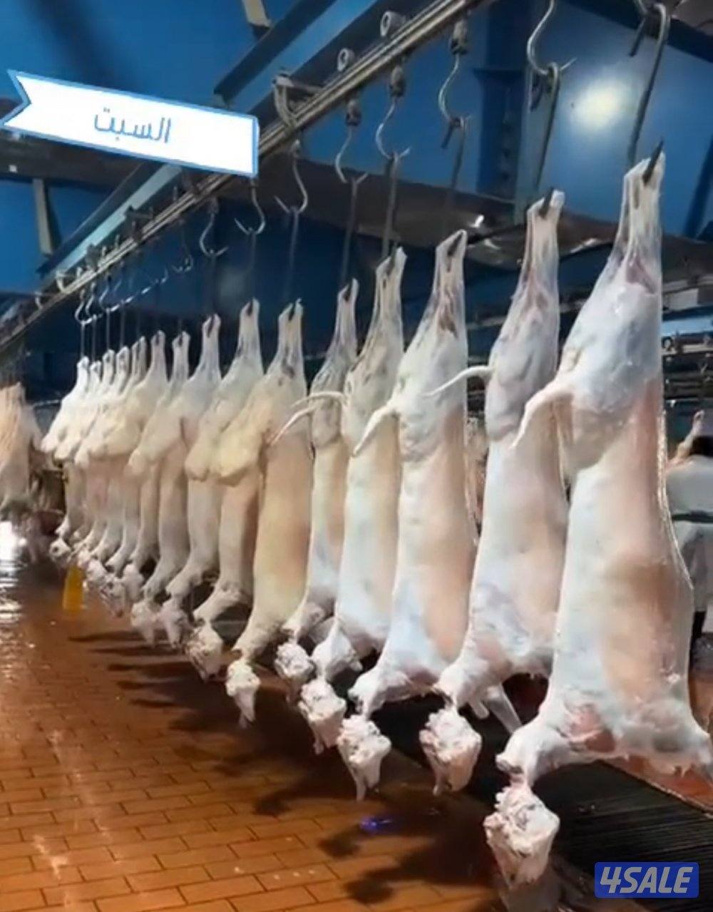 الوفرة قطعة ١ شارع ١0