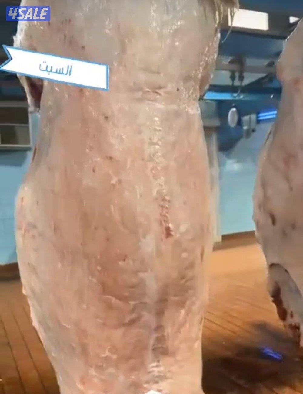 الوفرة قطعة ١ شارع ١2