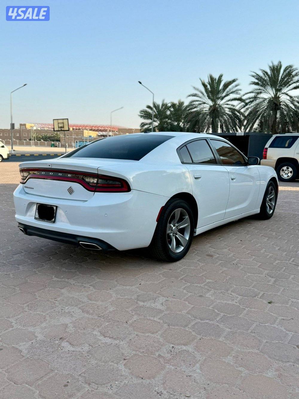 دودج تشارجر SXT موديل 2019 شرط الفحص3