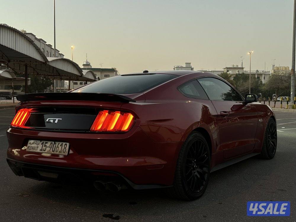 موستنج 5.0 قير عادي 2016 شاصي جيد ستوك3