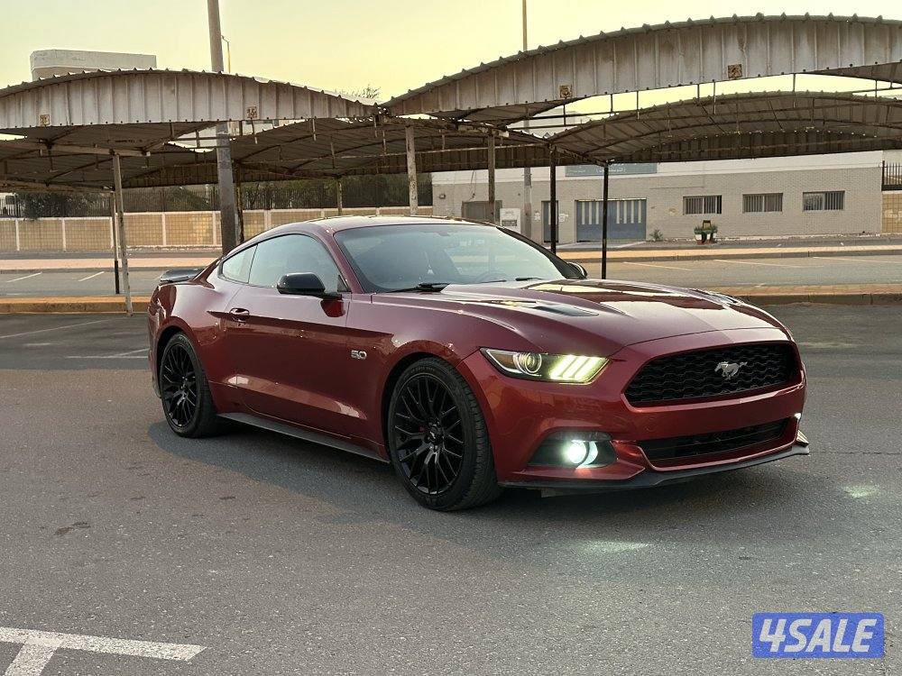 موستنج 5.0 قير عادي 2016 شاصي جيد ستوك4