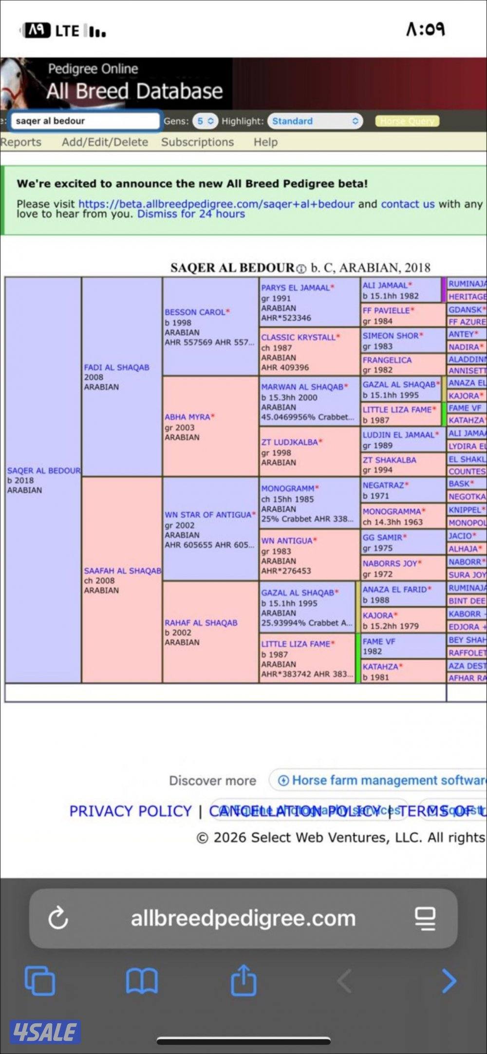 ولد البطل فادي الشقب 🔥4