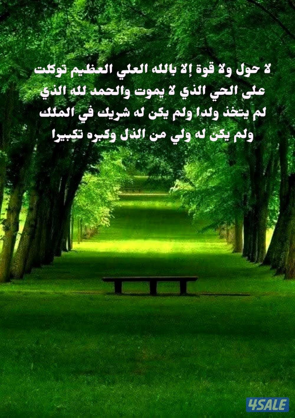 مدرس لغة عربية لتقوية القراءة والكتابة وشرح منهج ابتدائي متوسط ثانوي0