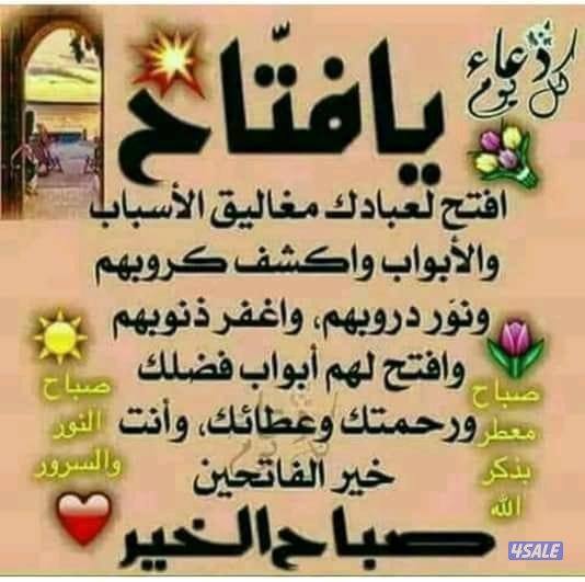 مدرس لغة عربية لتقوية القراءة والكتابة وشرح منهج ابتدائي متوسط ثانوي4