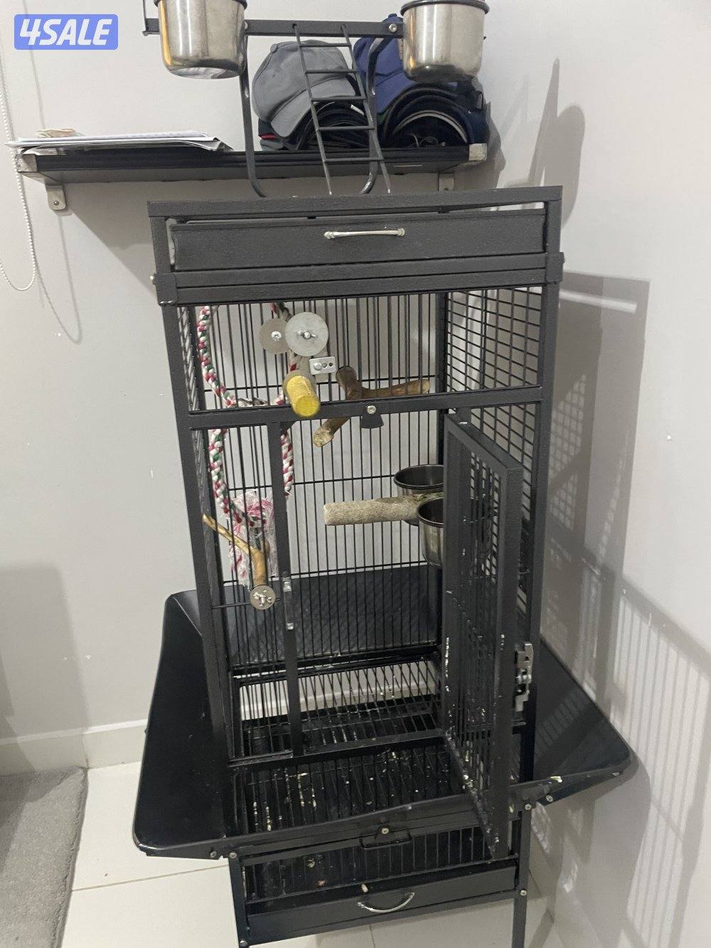 كاييك وايت بيلي عمره سنه ونص الجنس أنثى ربوه مع قفص كبير السعر ٢٥٠1