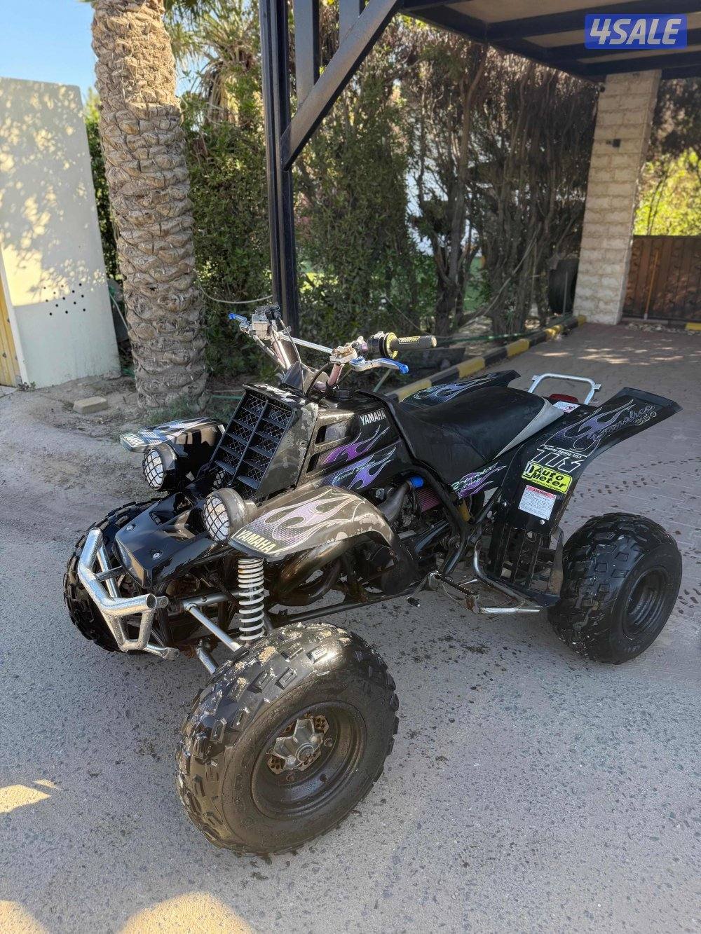 للبيع بانشي ٢٠٠٦ سبشل ادشن1