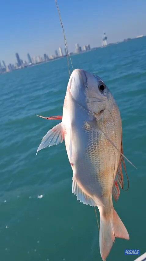 تاجير قوارب صيد حداق ايجار قوارب رحلات بحرية2