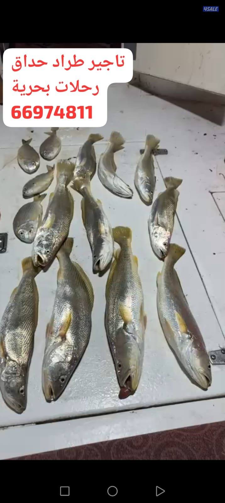 تاجير قوارب صيد حداق ايجار قوارب رحلات بحرية9