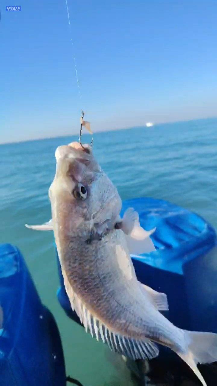 تاجير قوارب صيد حداق ايجار قوارب رحلات بحرية11