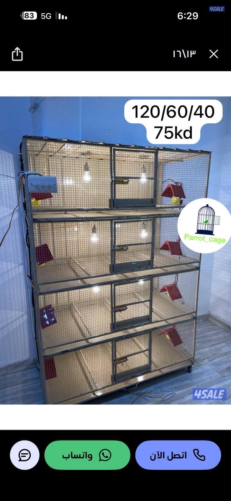 حضانة صيصان عالطلب15