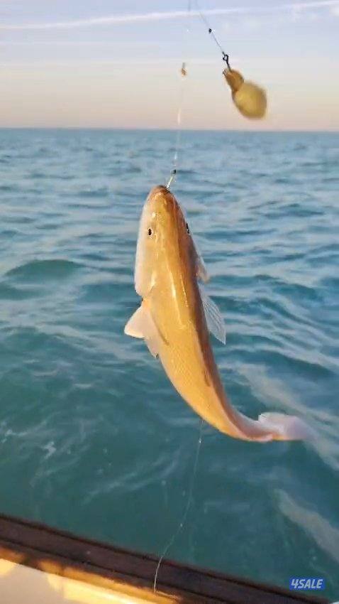 ايجار طراد صيد تاجير طراد حداق تاجير طراد رحلات بحرية1