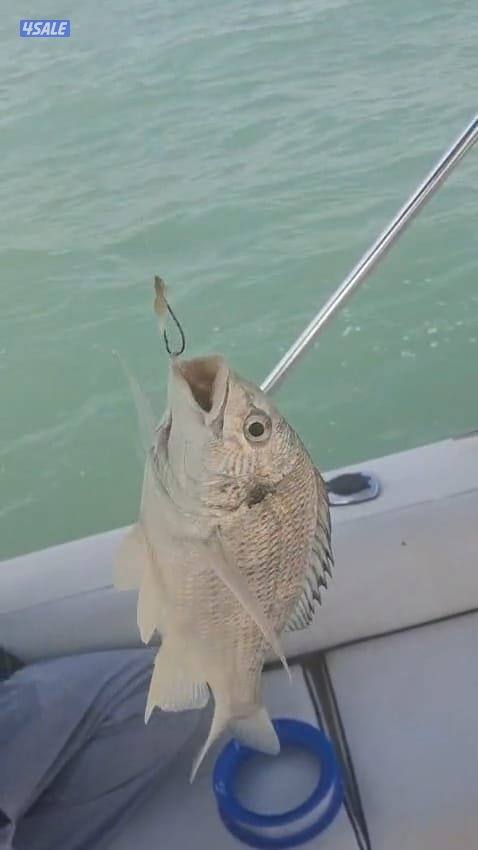 ايجار طراد صيد تاجير طراد حداق تاجير طراد رحلات بحرية15