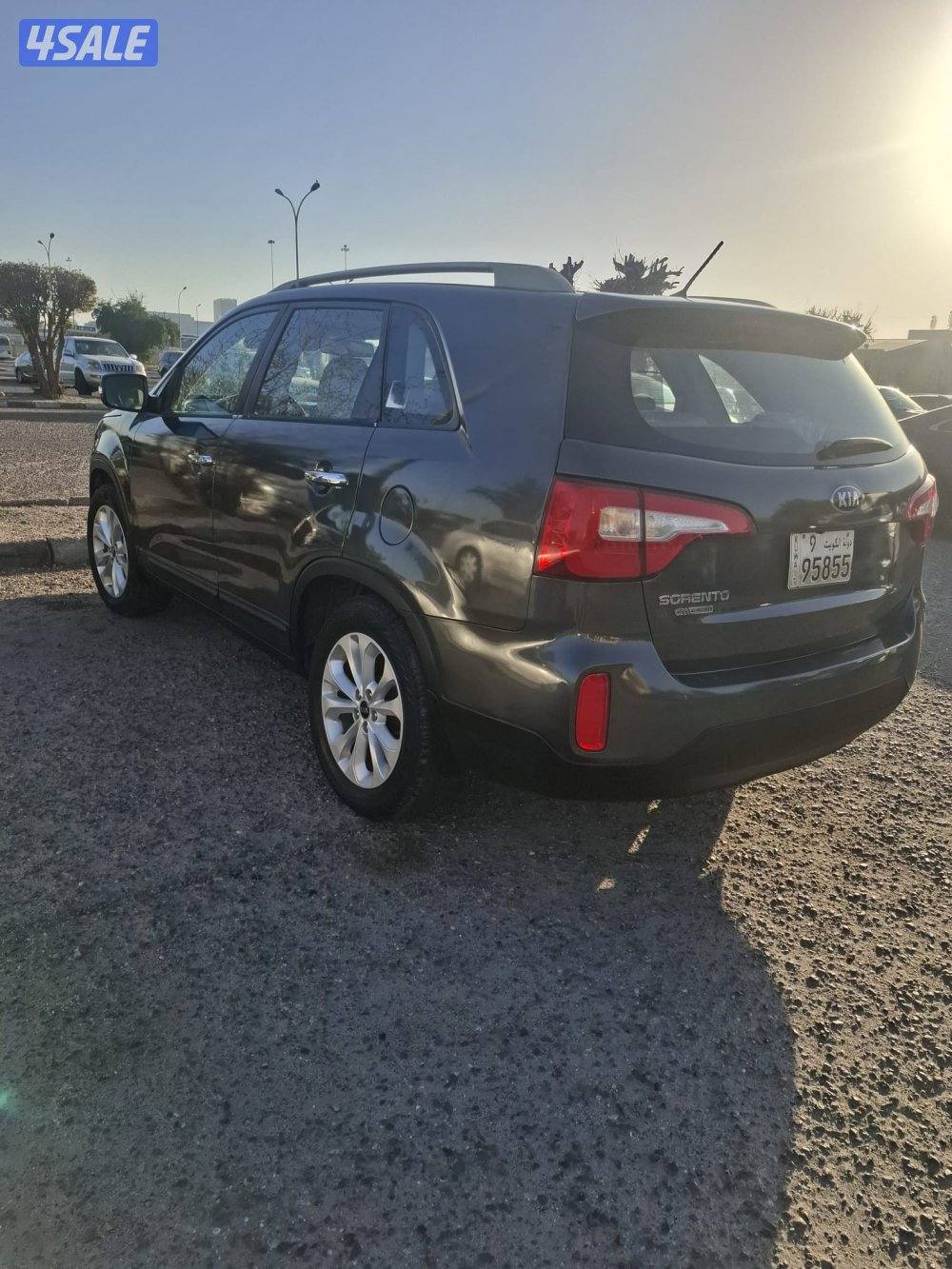 صباح الناصر2