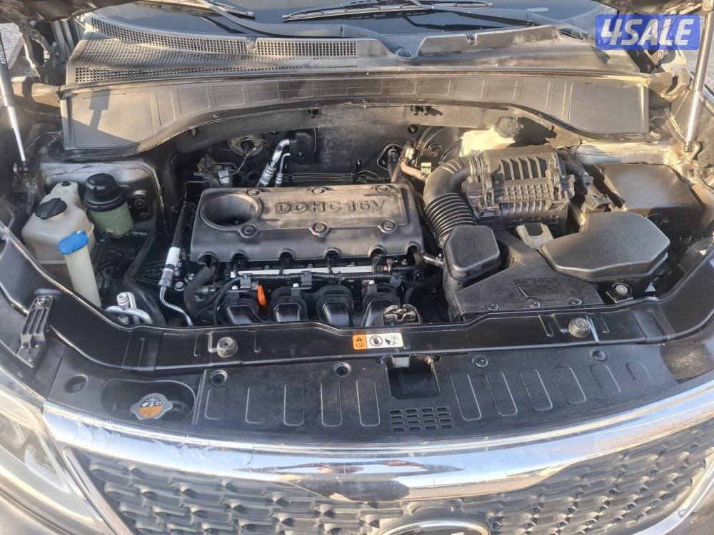 صباح الناصر7