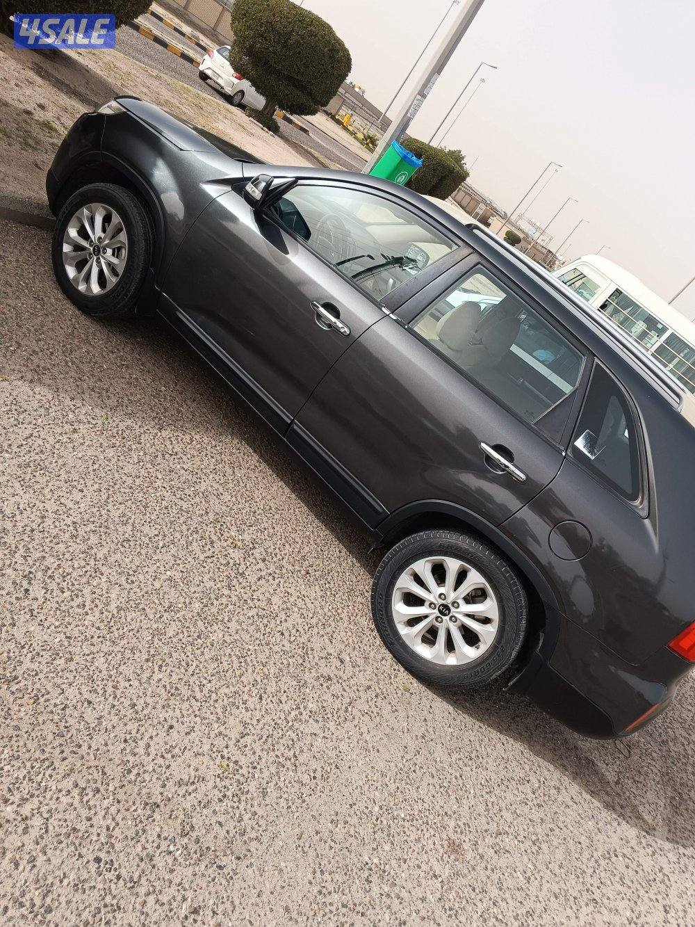 صباح الناصر14