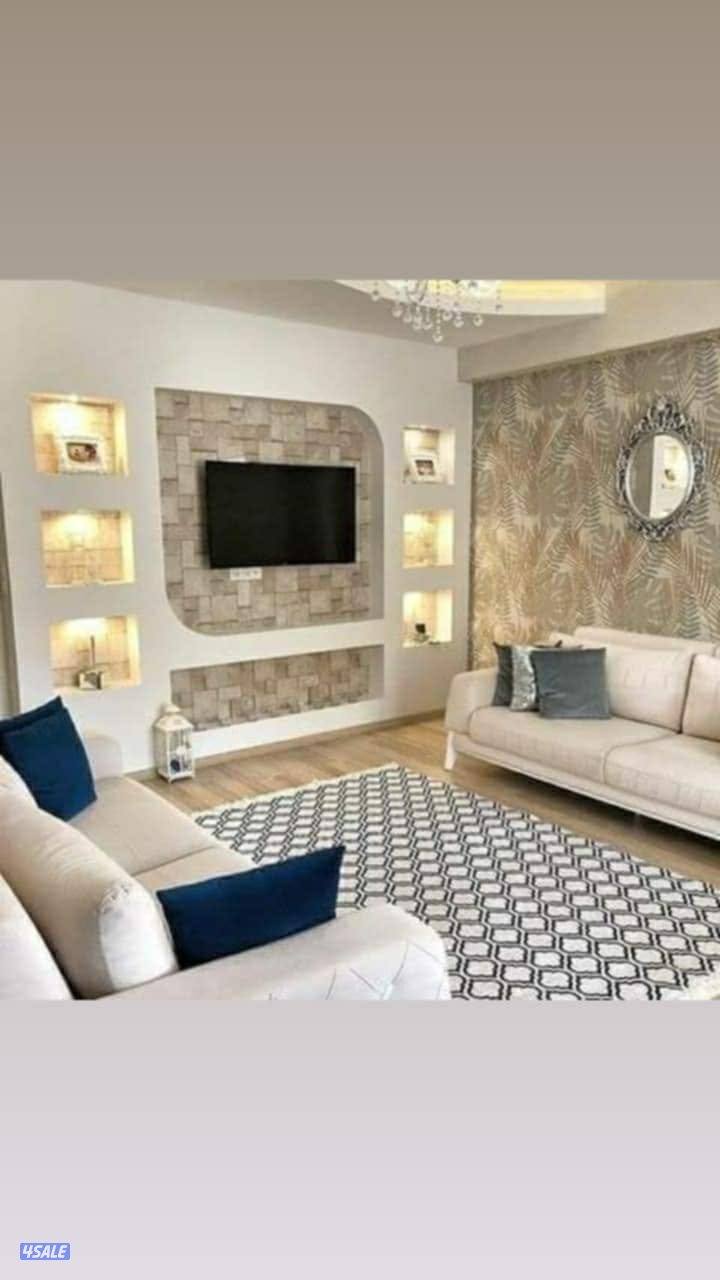 ديكور وصبغ3