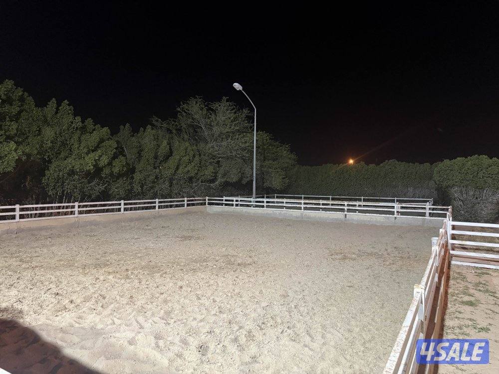 مربط للعنايه بالافراس والمهرات0