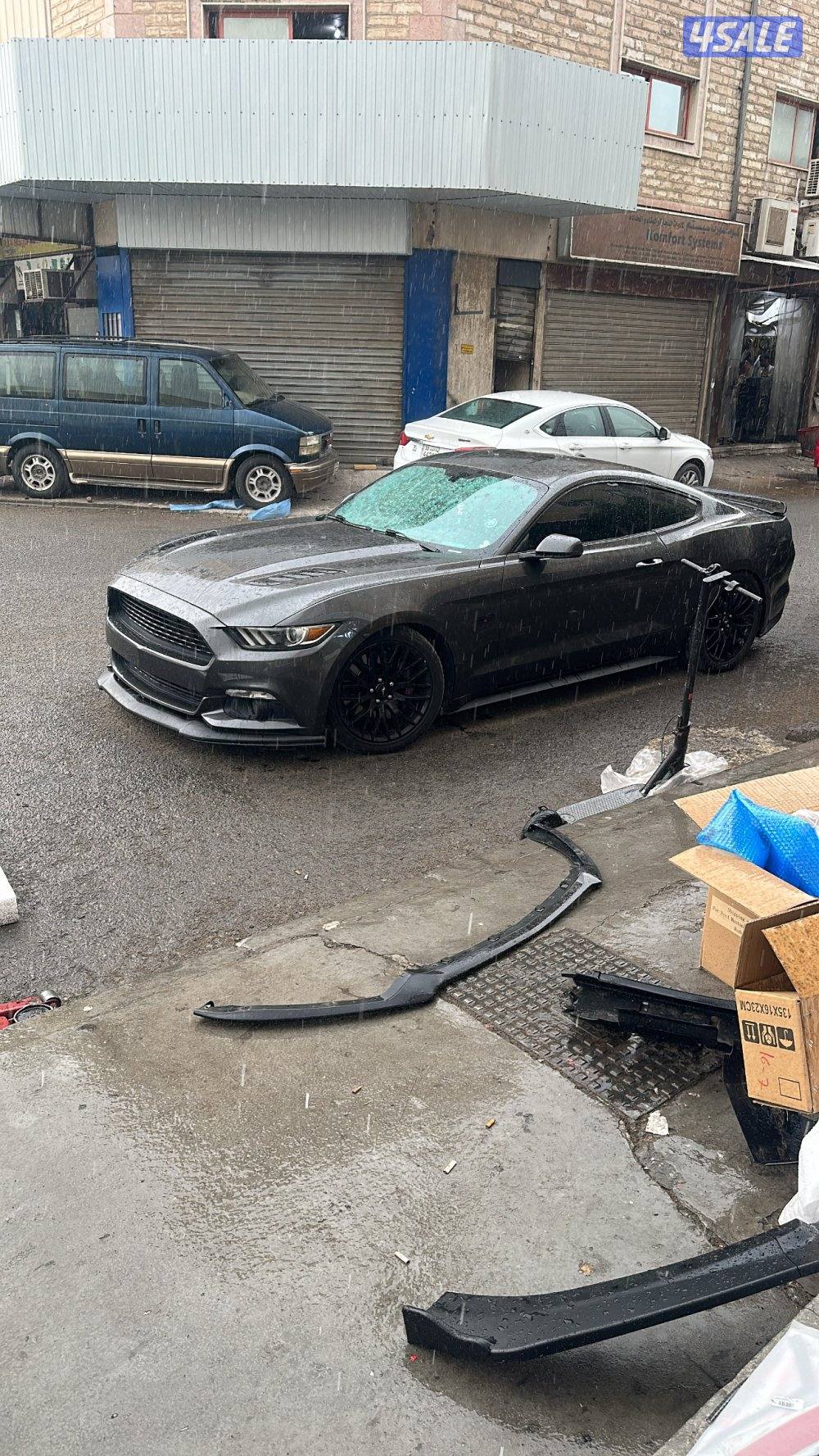 شاصي جيد 20155