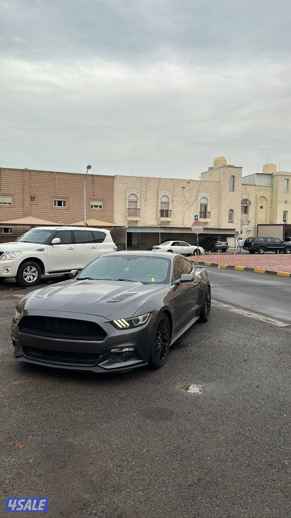 شاصي جيد 20156