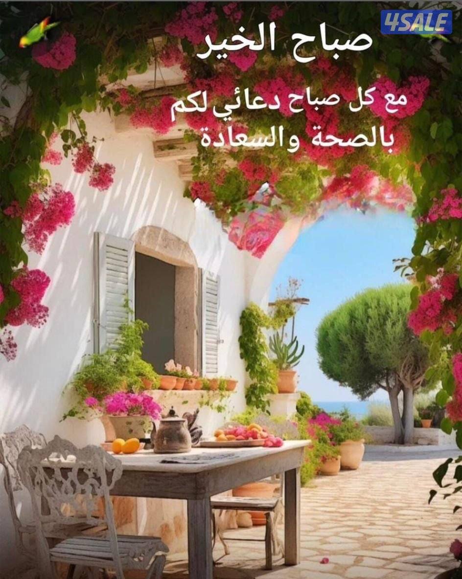 مطلوب مدير تشغيل لمطبعة0