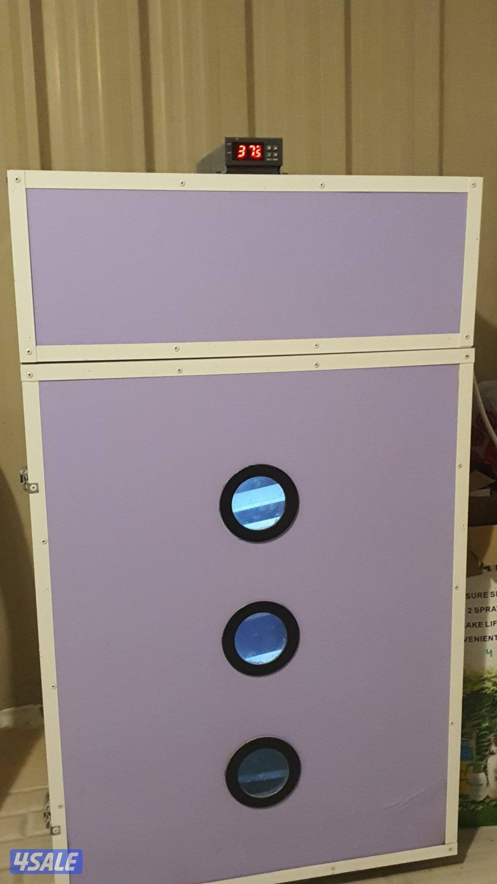 للبيع بيض مخصب ملون + لوهمان + فقاسة فتحي 500 بيضه3