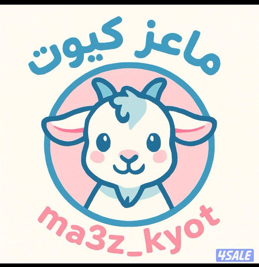 بيع تيس جيكي قزم + بيت التيس + جرس العمر ١٥ يوم5