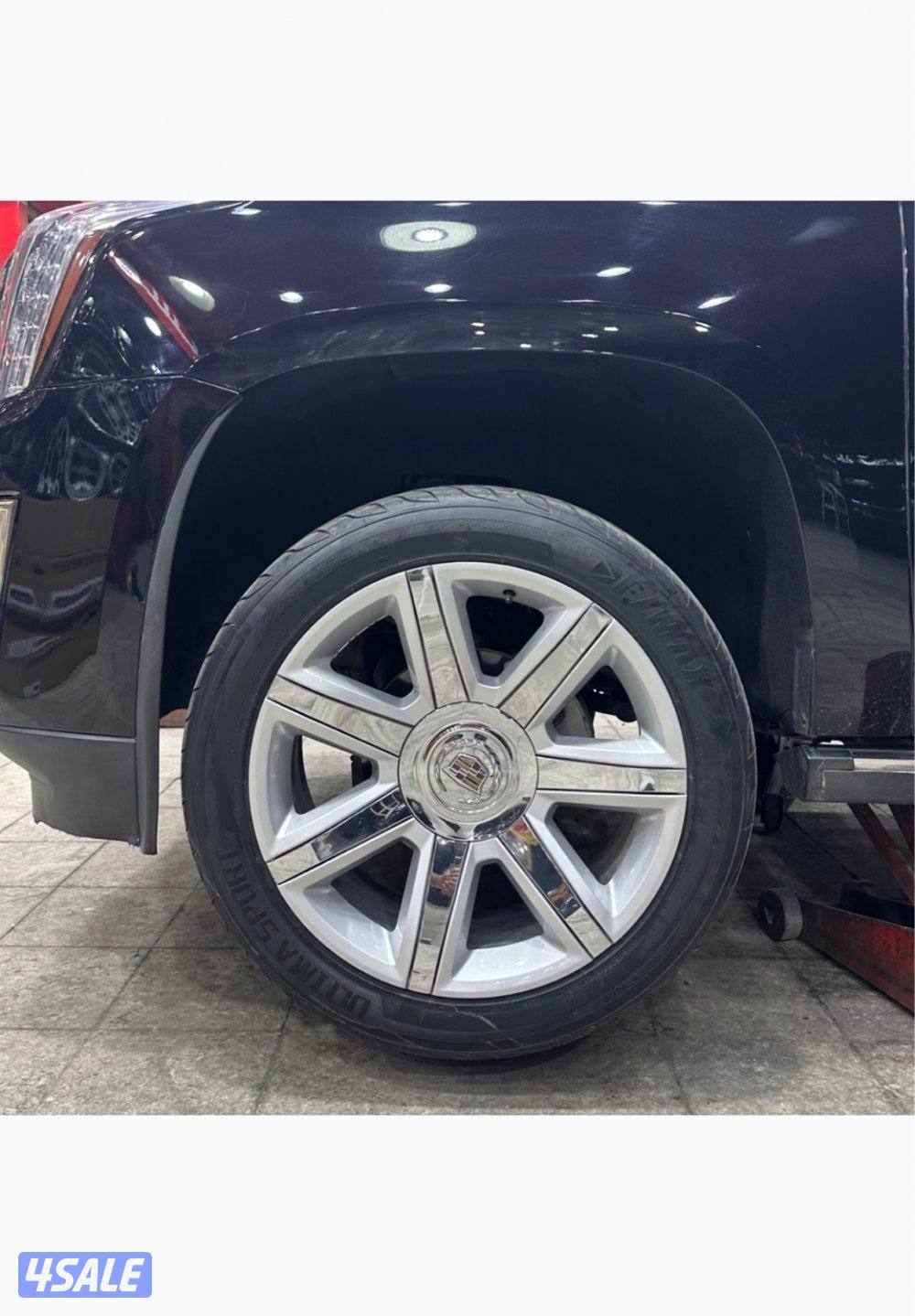 رنقات سكلد ٢٢1