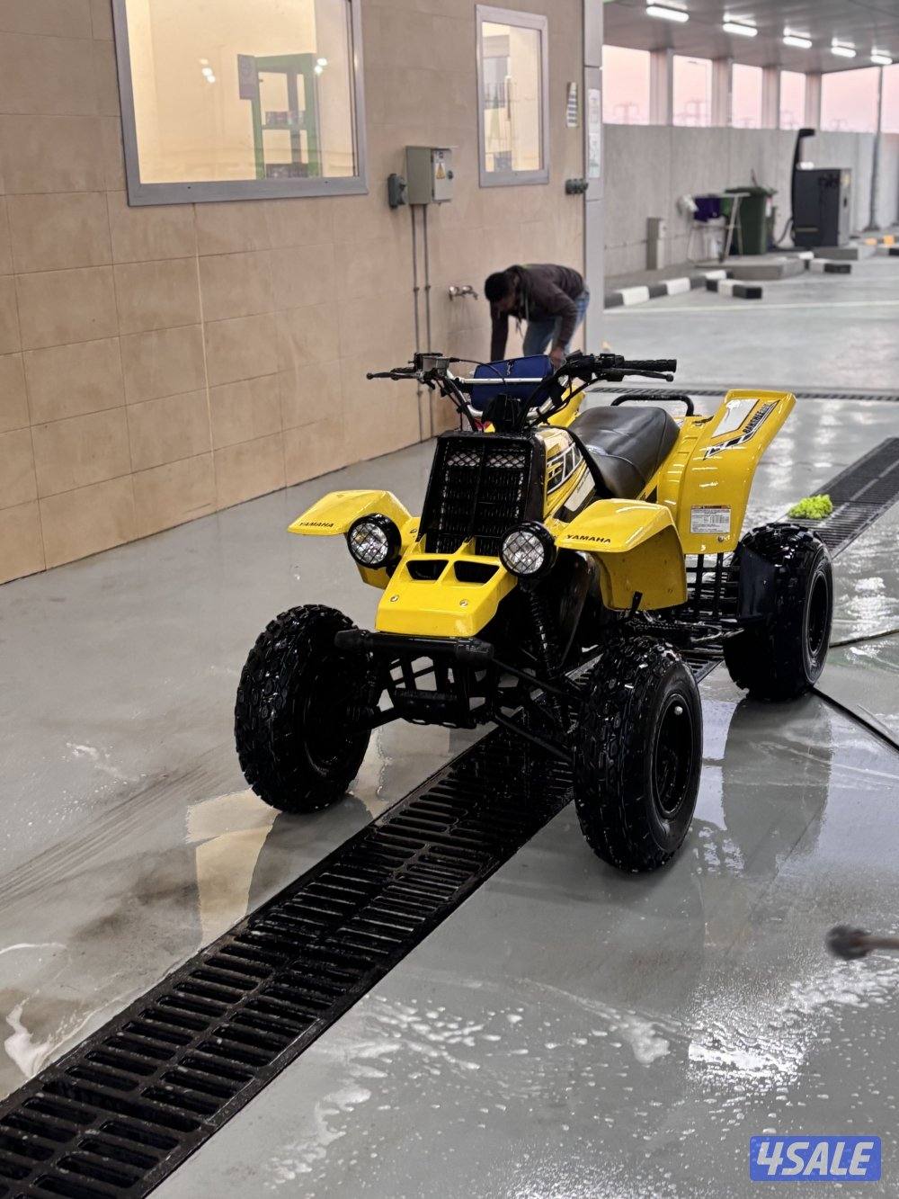 بانشي للبيع2