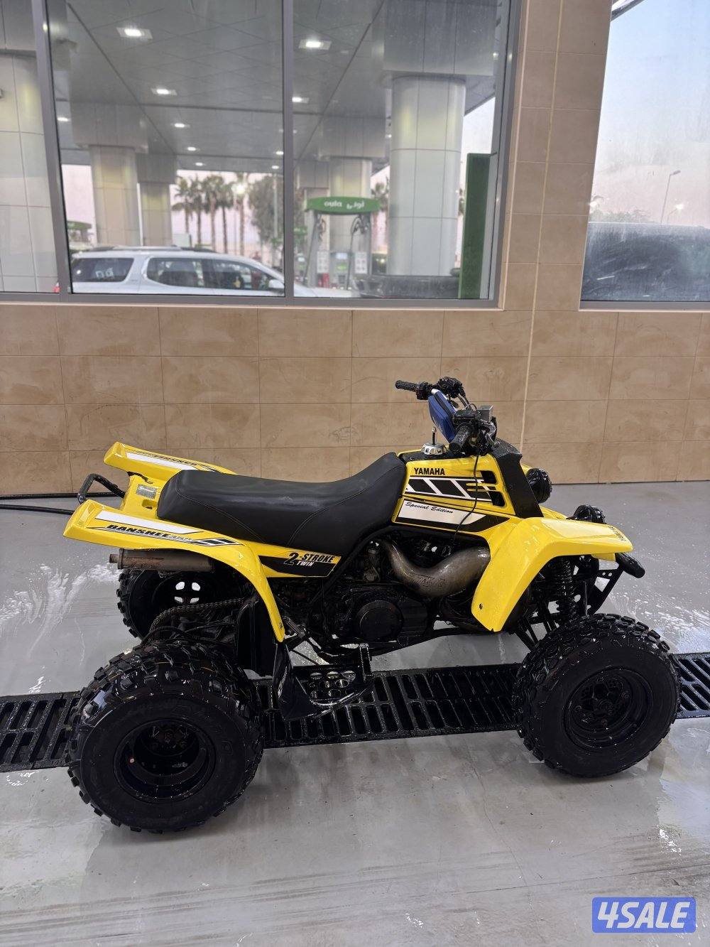 بانشي للبيع5