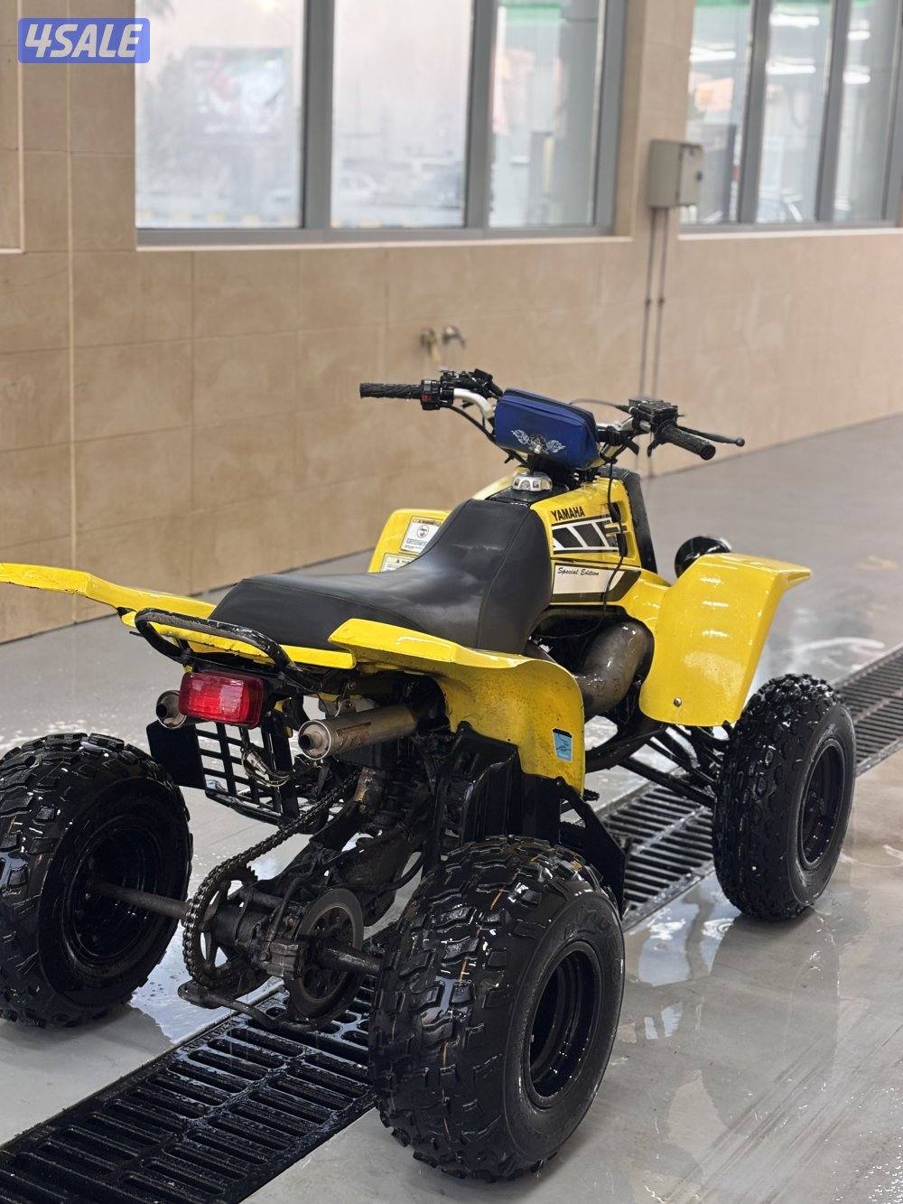 بانشي للبيع6