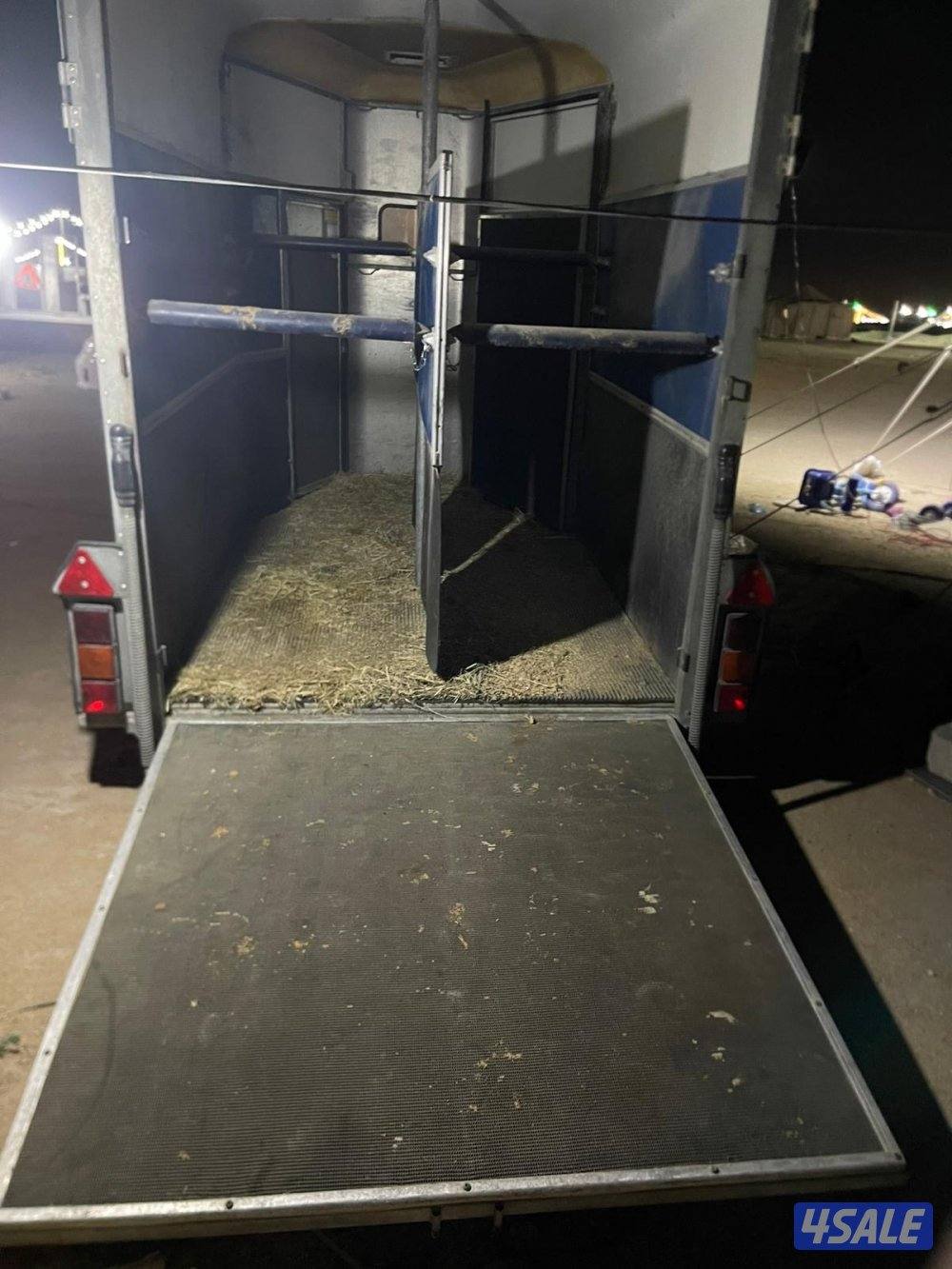 للبيع عربة خيل انجليزي ( راسين )2