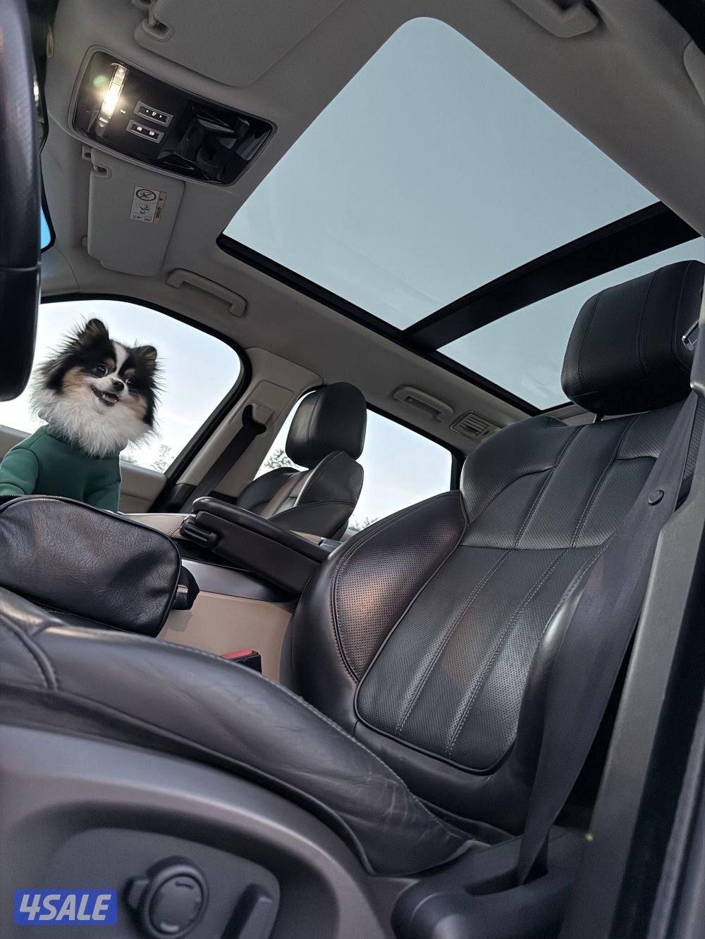 رنج سبورت ٢٠١٦7