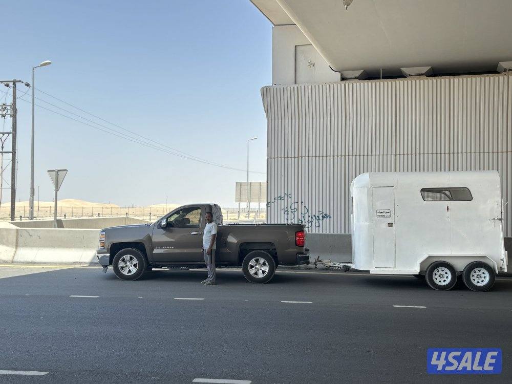 عربانة نقل خيل ٢٤ ساعة عمال اثنين خبرة في التعامل في نقل الخيل2