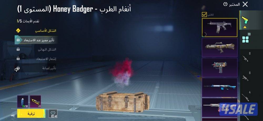 حساب ببجي للبيع3