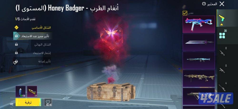 حساب ببجي للبيع6