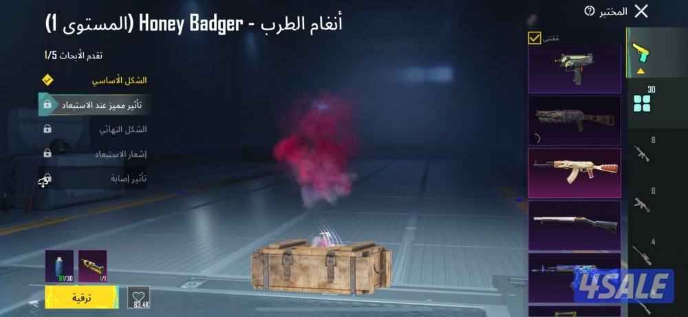 حساب ببجي للبيع9