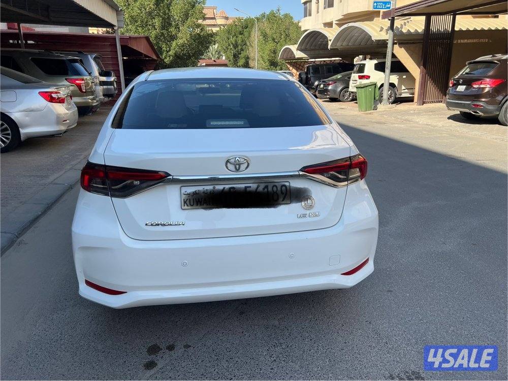 كوررلا صبغ الوكاله موديل 221