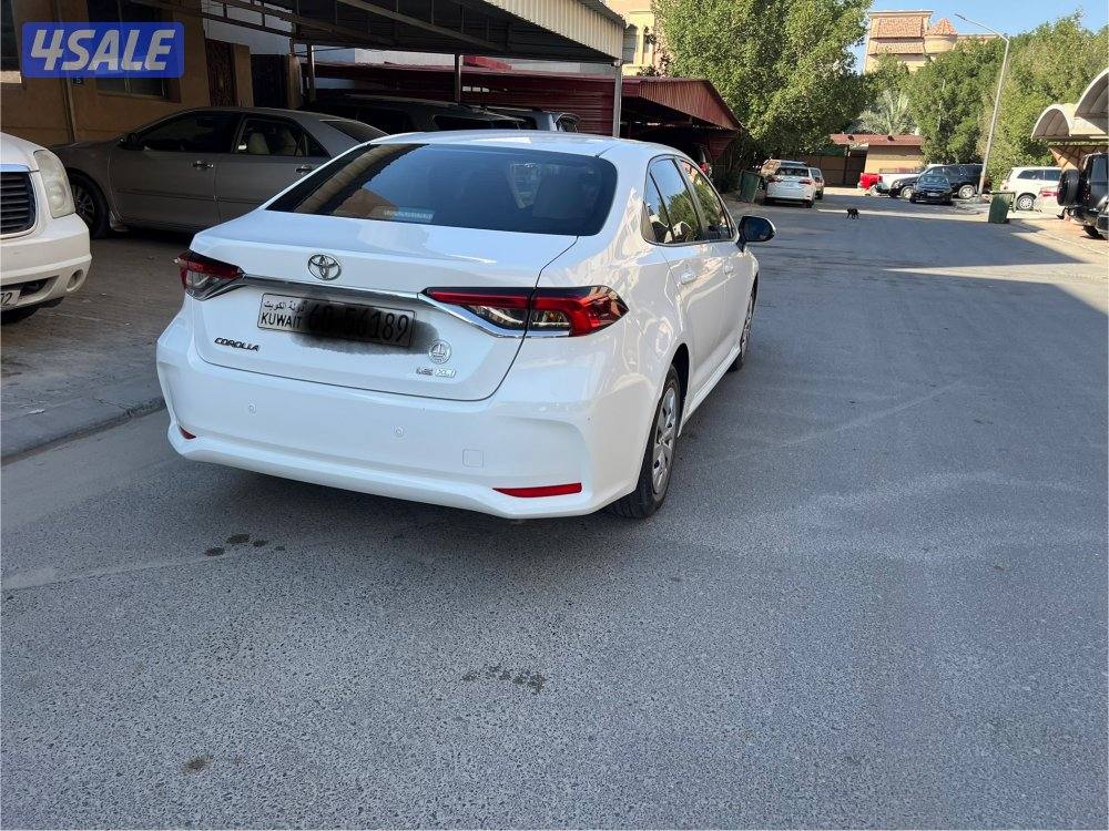 كوررلا صبغ الوكاله موديل 222