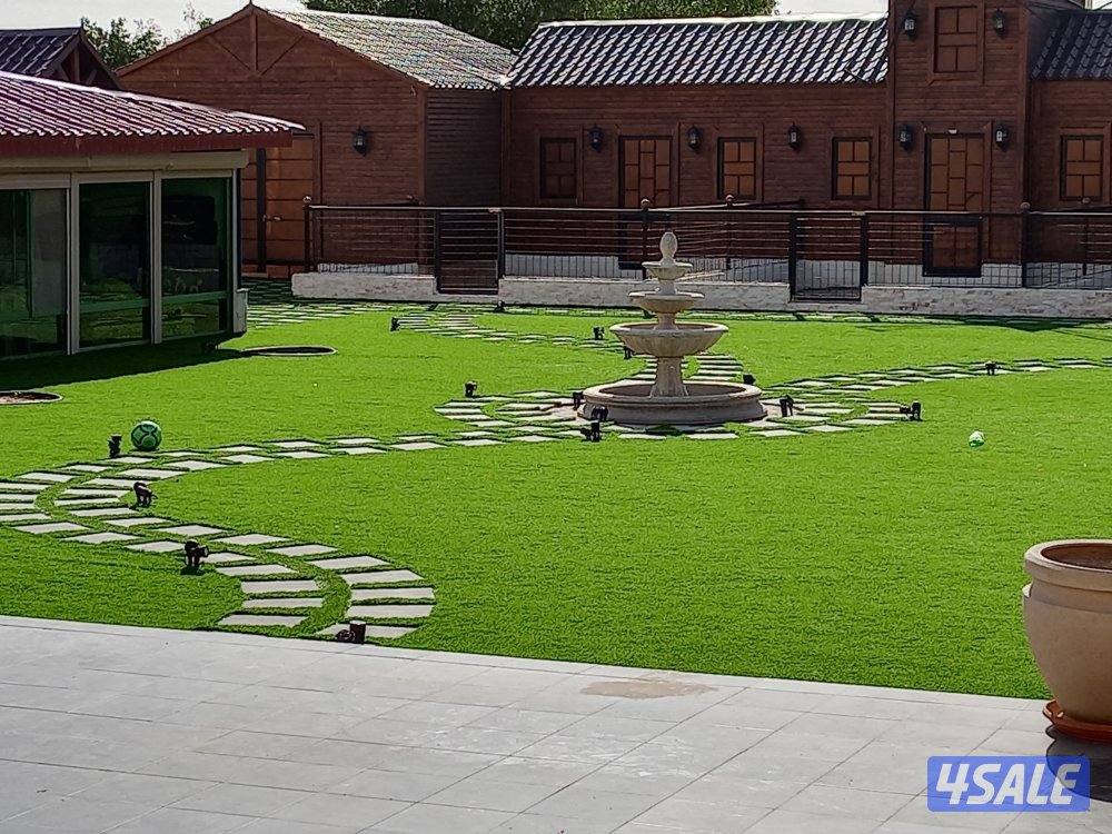 للبيع ثيل صناعي وتنسيق حدائق وزرعت ثيل طبيعي12