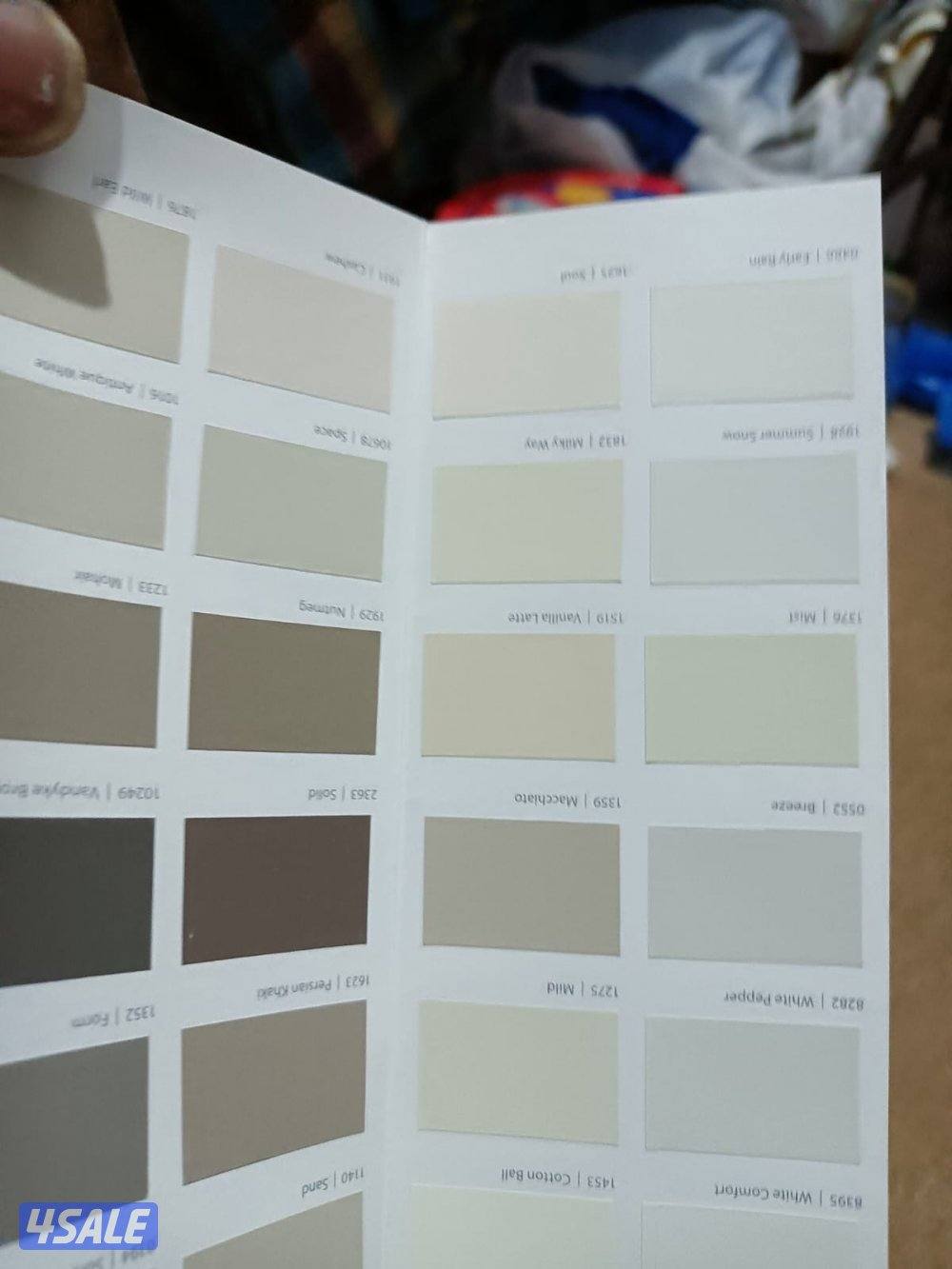 مقاولات أصباغ4