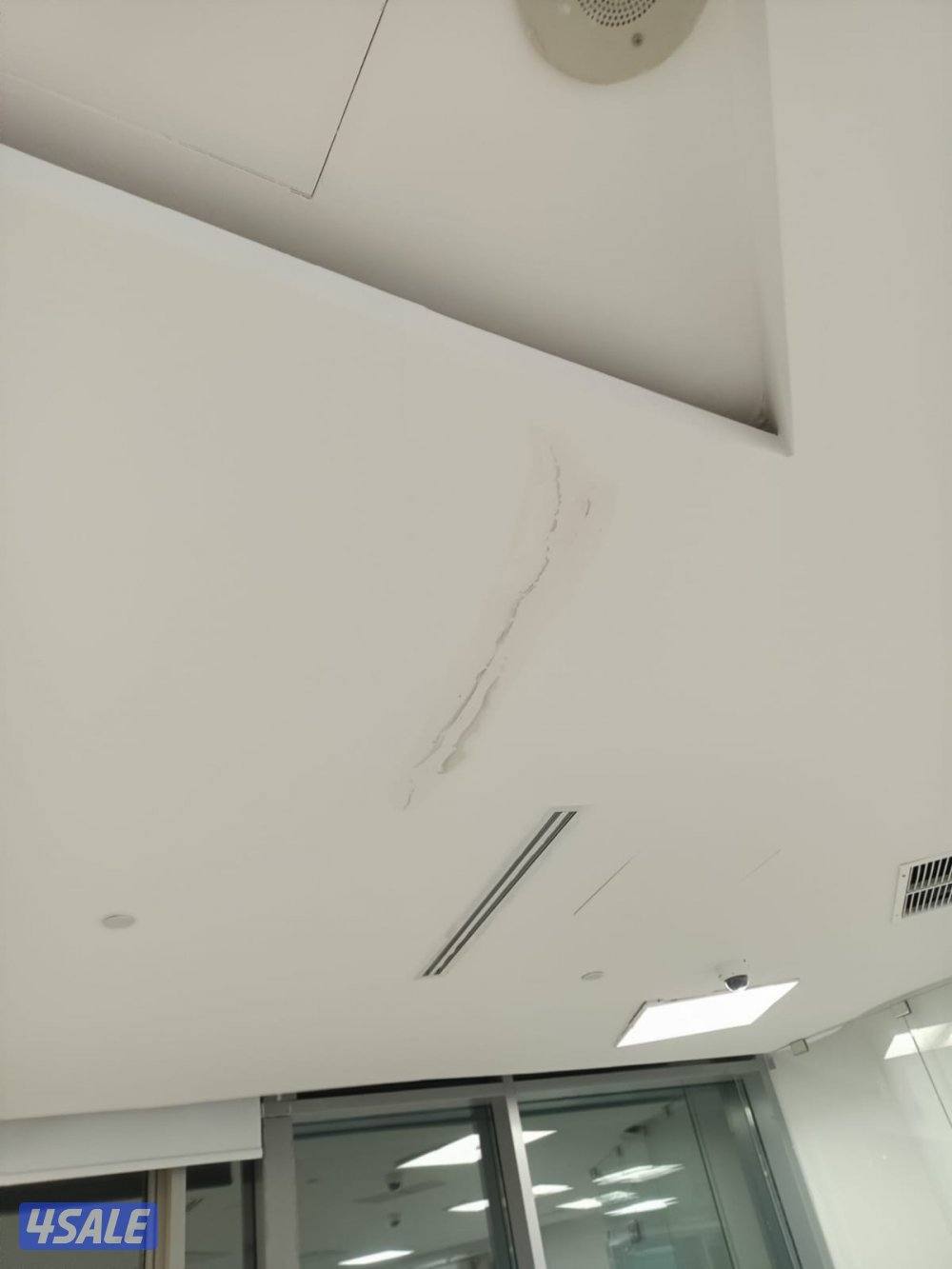 مقاولات أصباغ5