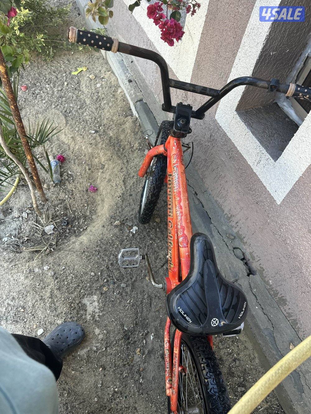 قاري لي البيع2