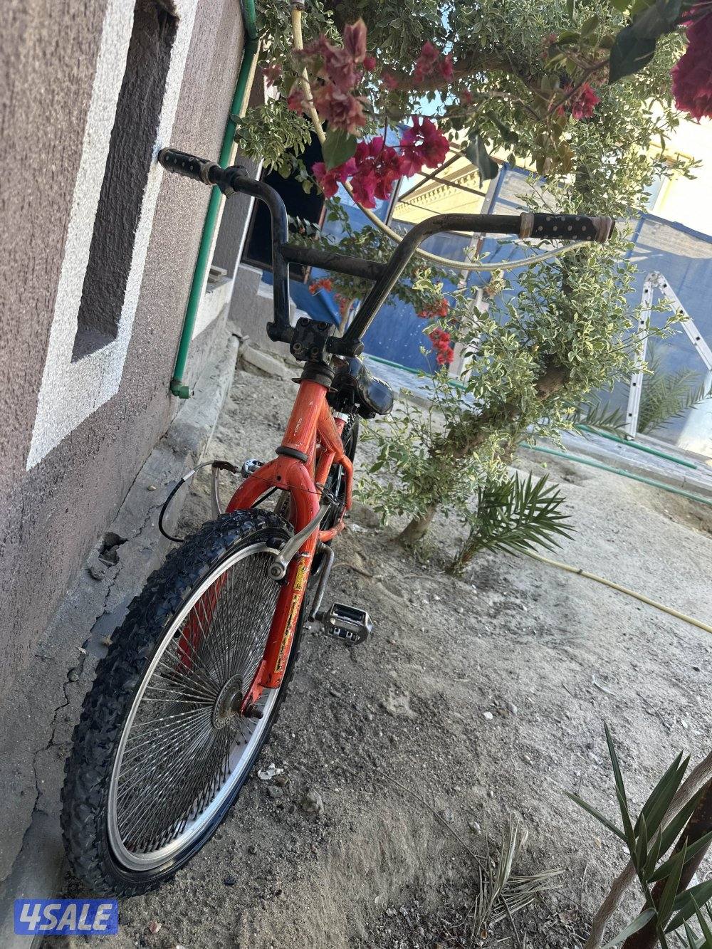 قاري لي البيع3