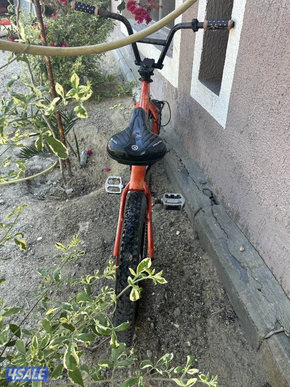 قاري لي البيع4