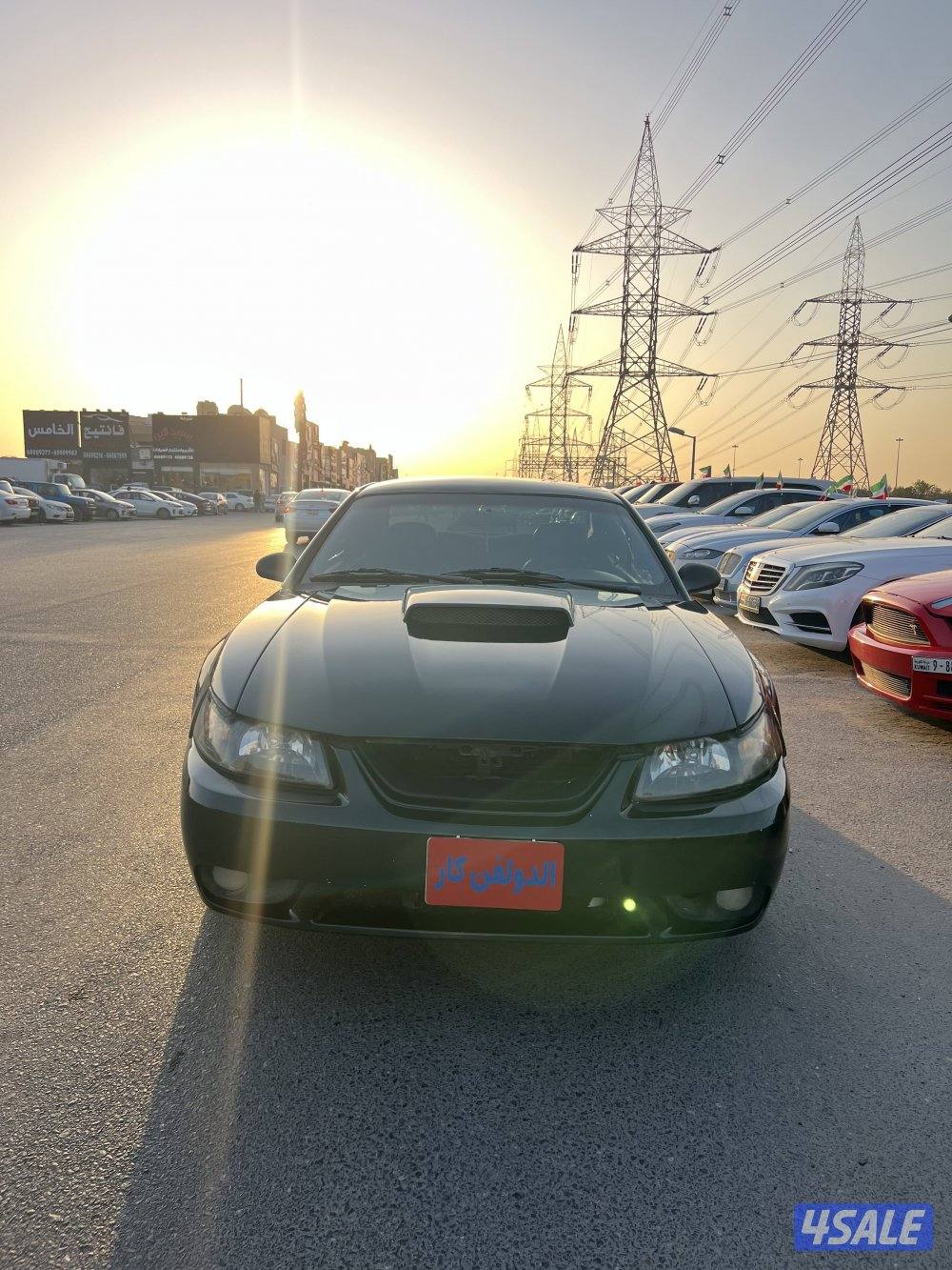 فورد موستنغ (بولت)0