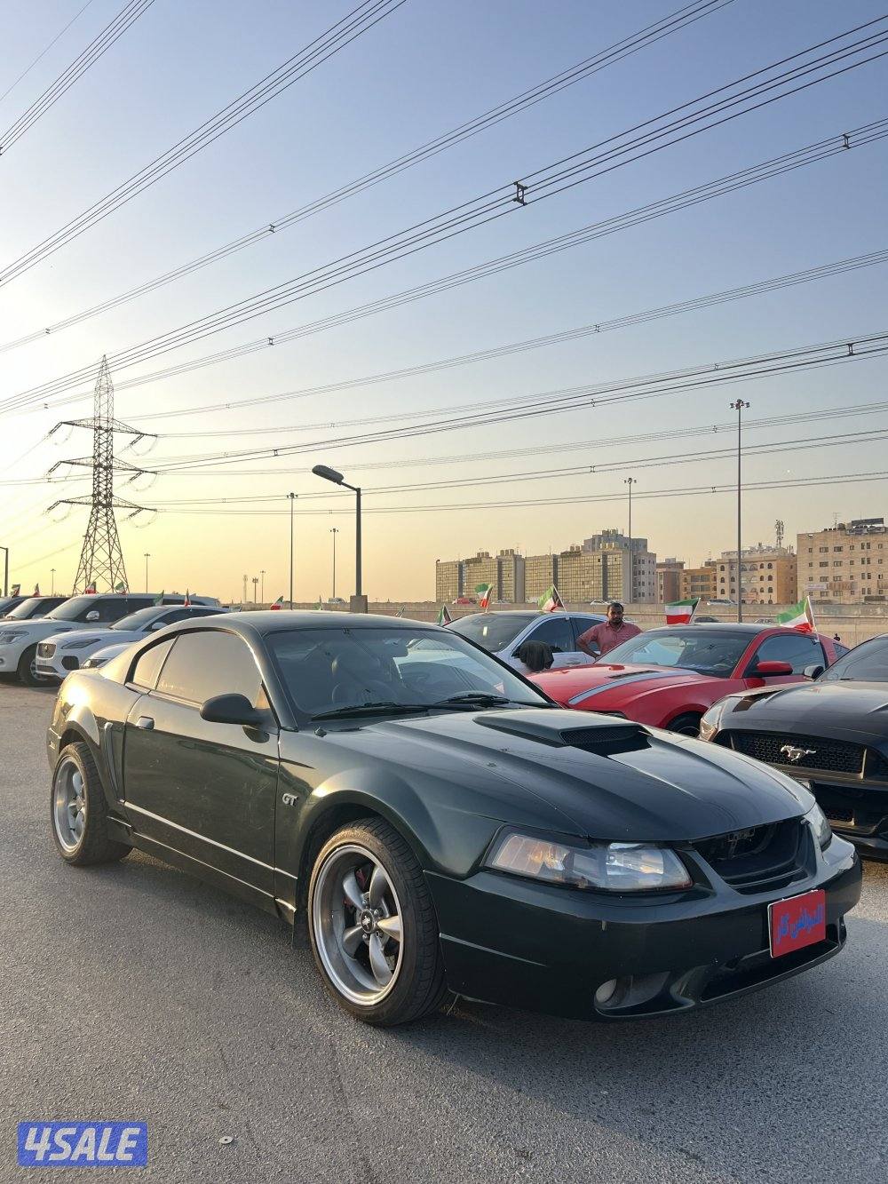 فورد موستنغ (بولت)1