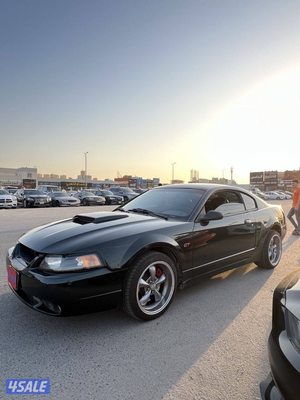 فورد موستنغ (بولت)2