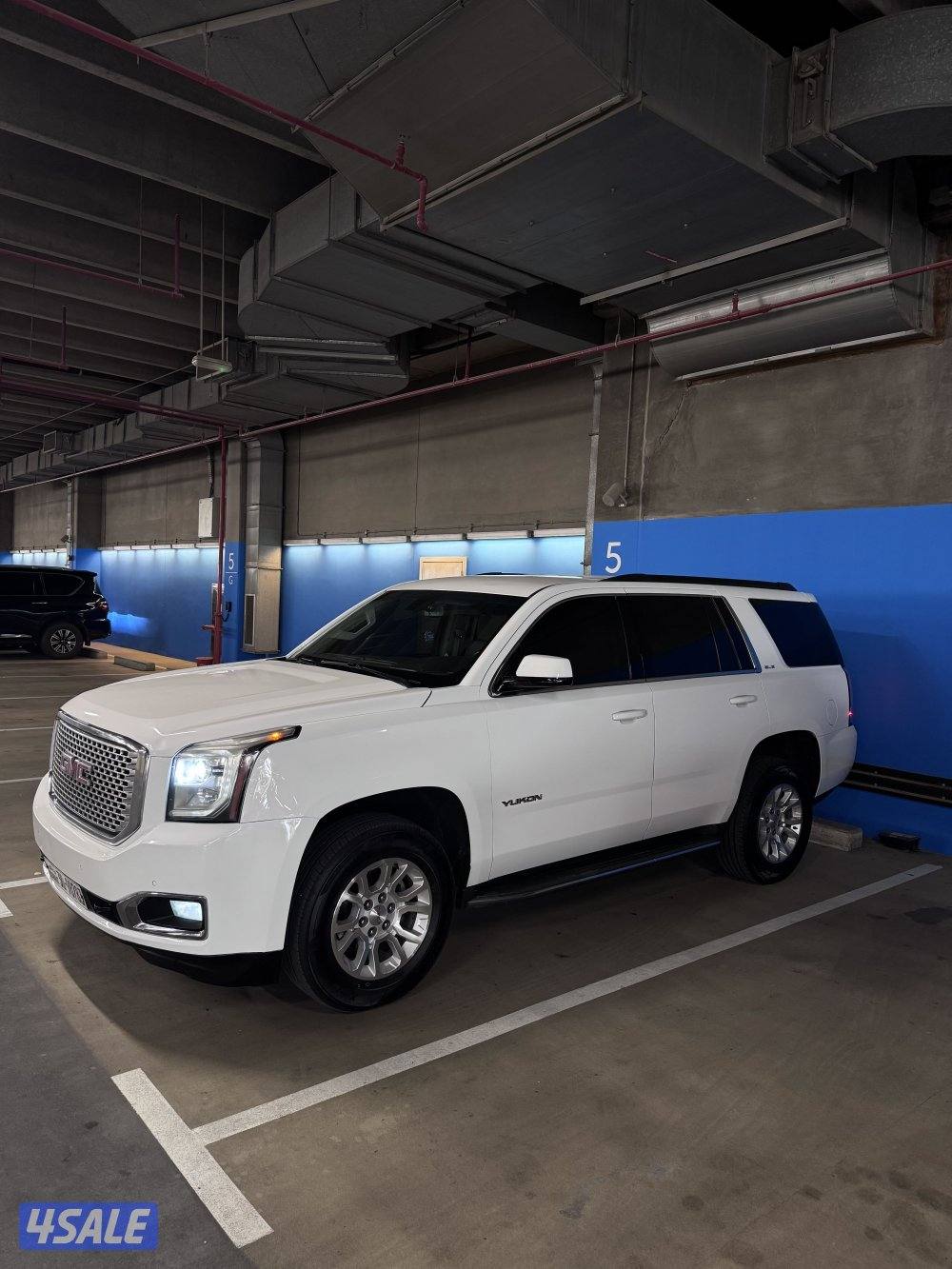 يوكن SLE 2015 صبغ الوكالة2